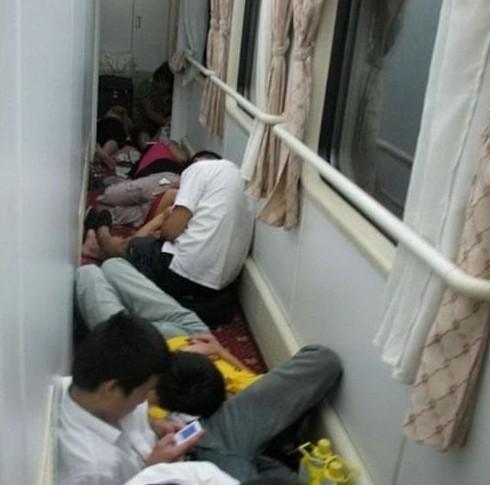 �����г�Ȥ�´�ȫ,��������������Щ�񼶳˿�