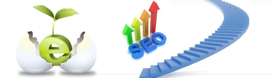 关于网站搜索排名的思索