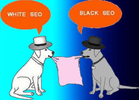 ��ñSEO������ô����